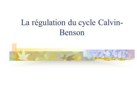 La régulation du cycle Calvin-Benson