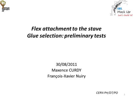Flex attachment to the stave Glue selection: preliminary tests