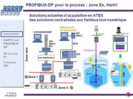 PROFIBUS-DP pour le process : zone Ex, Hart©