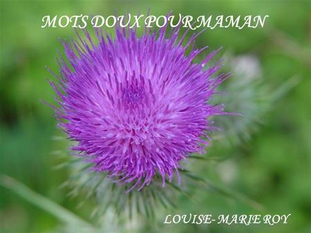 MOTS DOUX POUR MAMAN LOUISE- MARIE ROY.