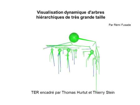 Visualisation dynamique d'arbres hiérarchiques de très grande taille Par Rémi Fusade TER encadré par Thomas Hurtut et Thierry Stein.