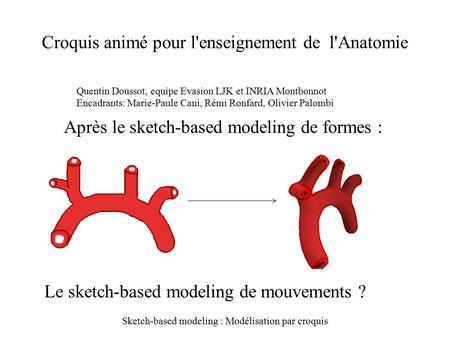 Croquis animé pour l'enseignement de l'Anatomie Après le sketch-based modeling de formes : Quentin Doussot, equipe Evasion LJK et INRIA Montbonnot Encadrants: