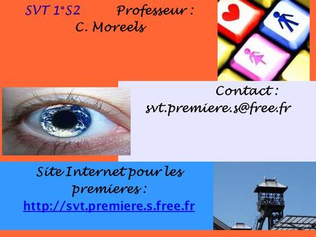 SVT 1°S2 Professeur : C. Moreels Contact : Site Internet pour les premieres :