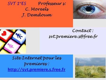 SVT 1°ES Professeur s: C. Moreels J. Demdoum Contact : Site Internet pour les premieres :