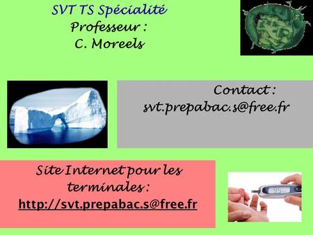 SVT TS Spécialité Professeur : C. Moreels Contact : Site Internet pour les terminales :