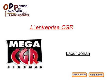 L' entreprise CGR Insérez ou copiez ici le logo de l'organisation Laour Johan.