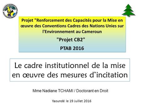 Le cadre institutionnel de la mise en œuvre des mesures d’incitation Yaoundé le 19 Juillet 2016 Projet Renforcement des Capacités pour la Mise en œuvre.