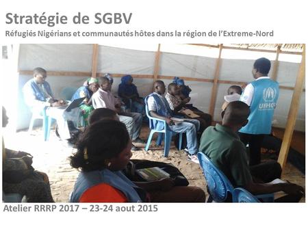 Stratégie de SGBV Réfugiés Nigérians et communautés hôtes dans la région de l’Extreme-Nord Atelier RRRP 2017 – 23-24 aout 2015.