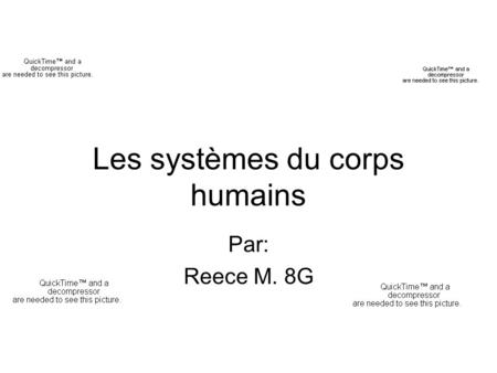 Les systèmes du corps humains Par: Reece M. 8G. Système Nerveux Quel est le rôle du système nerveux? La rôle du système nerveux est de dire de faire quel.