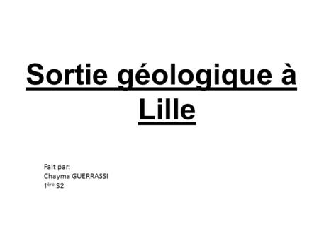 Fait par : Chayma GUERRASSI 1 ère S2 Sortie géologique à Lille.