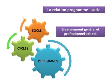 PROGRAMMES CYCLES SOCLE La relation programme - socle Enseignement général et professionnel adapté.