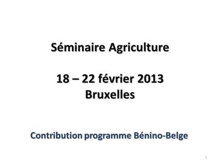Séminaire Agriculture 18 – 22 février 2013 Bruxelles Contribution programme Bénino-Belge 1.
