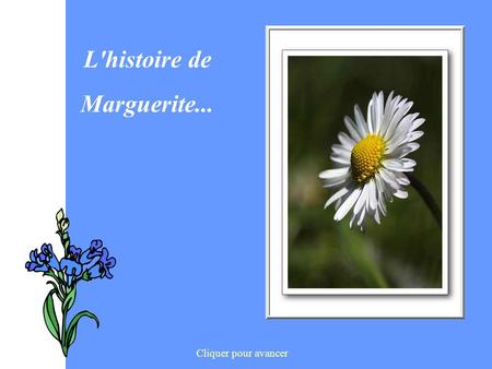 L'histoire de Marguerite... Cliquer pour avancer.
