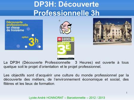 1 DP3H: Découverte Professionnelle 3h Lycée André HONNORAT – Barcelonnette – 2012 / 2013 La DP3H (Découverte Professionnelle 3 Heures) est ouverte à tous.