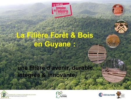 La Filière Forêt & Bois en Guyane : une filière d’avenir, durable, intégrée & innovante.