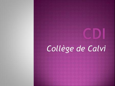 Collège de Calvi.  -Le centre de documentation et d'information doit en premier lieu favoriser le travail scolaire des élèves et accompagner les projets.