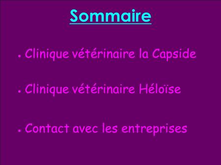 Sommaire ● Clinique vétérinaire la Capside Clinique vétérinaire la Capside ● Clinique vétérinaire Héloïse Clinique vétérinaire Héloïse ● Contact avec les.