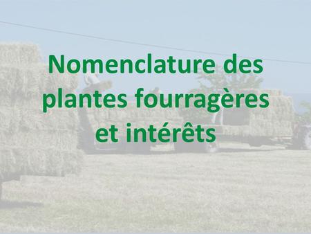 Nomenclature des plantes fourragères et intérêts.