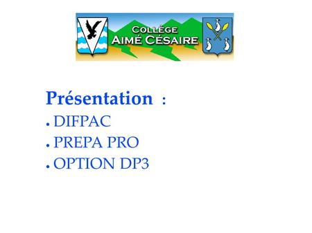 Présentation : ● DIFPAC ● PREPA PRO ● OPTION DP3.