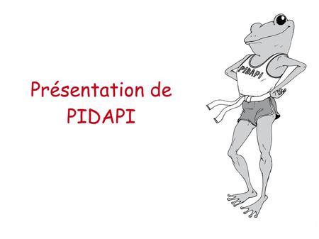 Présentation de PIDAPI. Qu'est-ce que c'est ? C'est un outil d'apprentissage en français et en mathématiques.