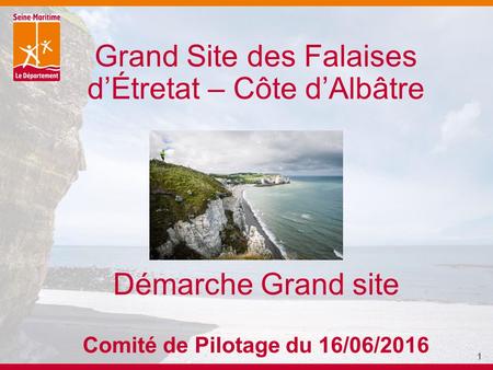Grand Site des Falaises d’Étretat – Côte d’Albâtre Démarche Grand site Comité de Pilotage du 16/06/2016 1.