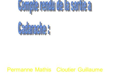 Permanne Mathis Cloutier Guillaume. Le CEA (commissariat de l'Energie Atomique) de Cadarache(1959) est l'un des 10 centres de recherche français. Ses.