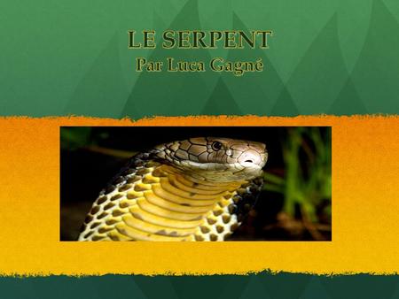 FAMILLE ET ESPÈCE  Le serpent appartient à la grande famille des reptiles.  Il y a environ 2 700 espèces de serpent.  Environ 100 espèces qui sont.