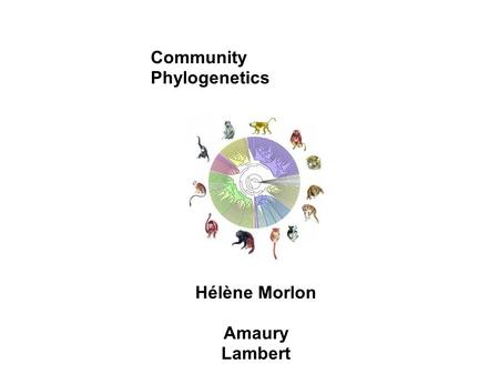 Community Phylogenetics Hélène Morlon Amaury Lambert.