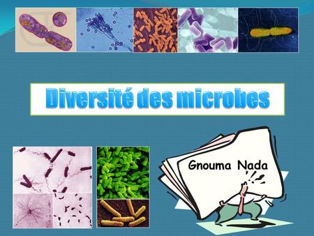 Diversité des microbes