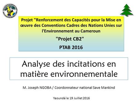 Analyse des incitations en matière environnementale Yaoundé le 19 Juillet 2016 Projet Renforcement des Capacités pour la Mise en œuvre des Conventions.