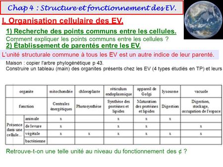 Chap 4 : Structure et fonctionnement des EV. I. Organisation cellulaire des EV. 1) Recherche des points communs entre les cellules. Comment expliquer les.