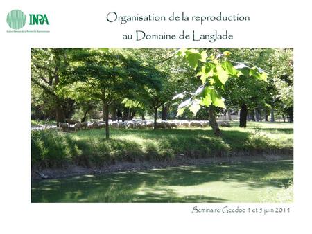 Organisation de la reproduction au Domaine de Langlade Séminaire Geedoc 4 et 5 juin 2014.