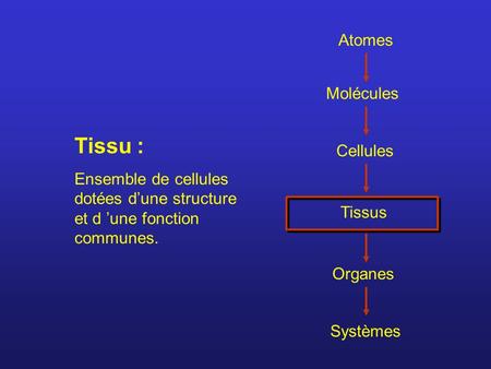 Tissu : Atomes Molécules Cellules