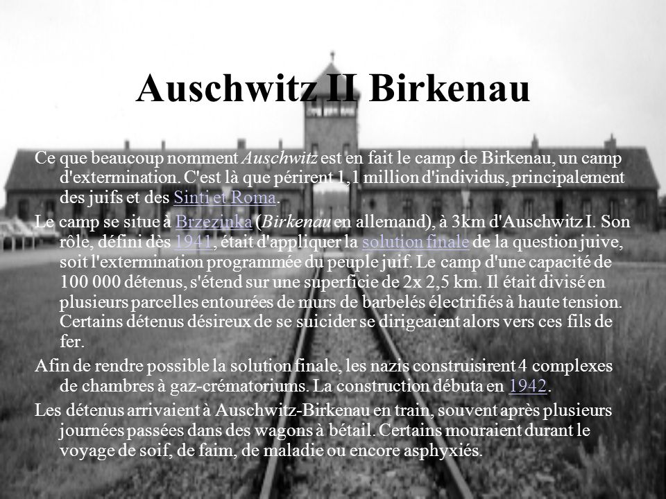 Auschwitz+II+Birkenau.jpg