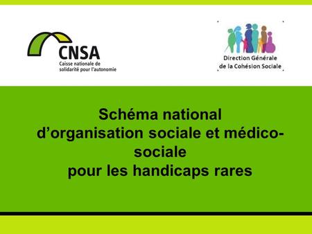 Schéma national d’organisation sociale et médico- sociale pour les handicaps rares.