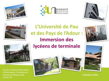 L’Université de Pau et des Pays de l’Adour : Immersion des lycéens de terminale Service Commun Universitaire d’Information, Orientation et Insertion Professionnelle.