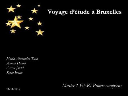 Voyage d’étude à Bruxelles Maria Alexandra Tusa Amina Daniel Carine Joutel Kevin Inacio Master 1 EERI Projets européens 14/11/