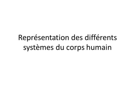 Représentation des différents systèmes du corps humain.