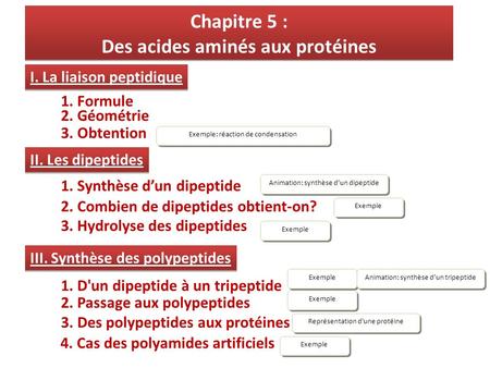 Chapitre 5 : Des acides aminés aux protéines Chapitre 5 : Des acides aminés aux protéines I. La liaison peptidique II. Les dipeptides Exemple: réaction.