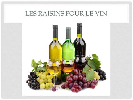 LES RAISINS POUR LE VIN. LES RAISINS QUI FONT LE VIN La qualité des raisins détermine la qualité du vin. L'raisins terroir affecte la qualité du raisin.