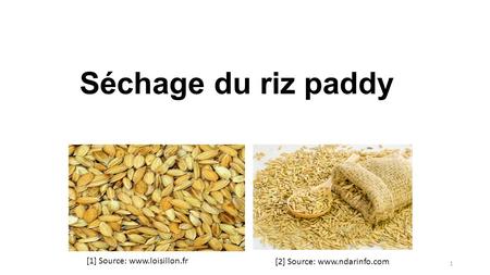 Séchage du riz paddy 1 [1] Source:  [2] Source:
