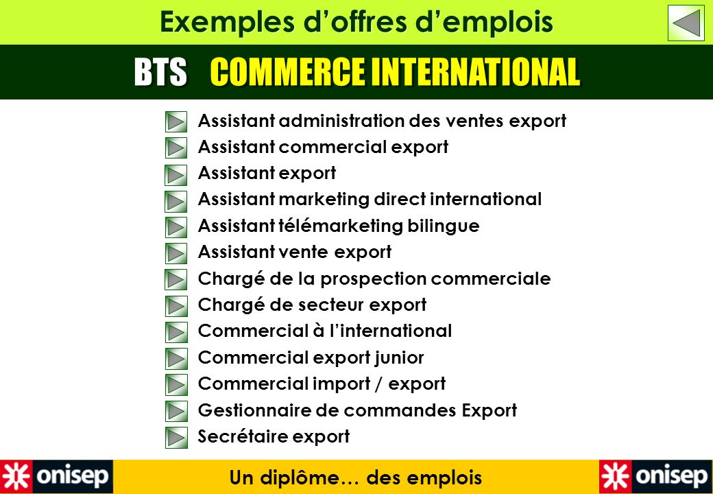bts commerce international