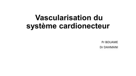 Vascularisation du système cardionecteur Pr BOUAME Dr DAHMANI.