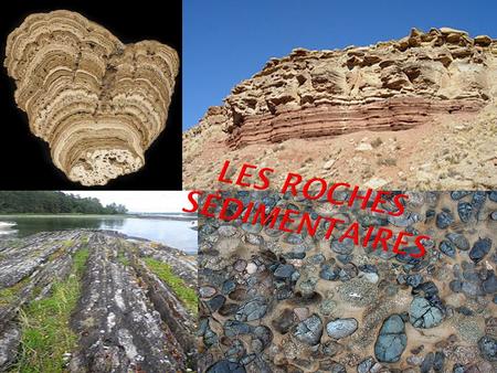  Les roches sédimentaires sont des roches formées en surface de la terre = roches exogènes.  PLAN ADOPTE : 1) Formations des roches sédimentaires.