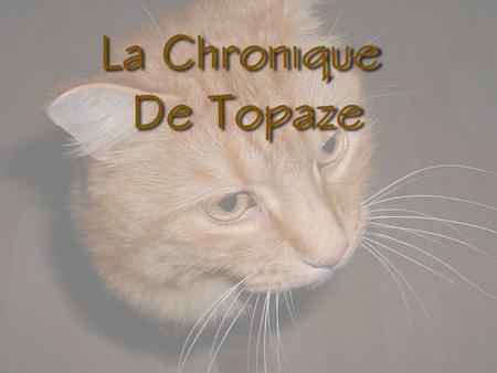 La Chronique De Topaze La Chronique De Topaze Par un beau matin de Septembre, ma maîtresse regardant par la fenêtre, aperçoit un petit chat tout blanc.