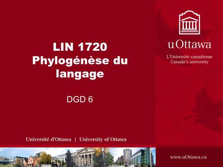 LIN 1720 Phylogénèse du langage
