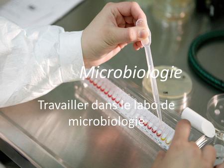Travailler dans le labo de microbiologie