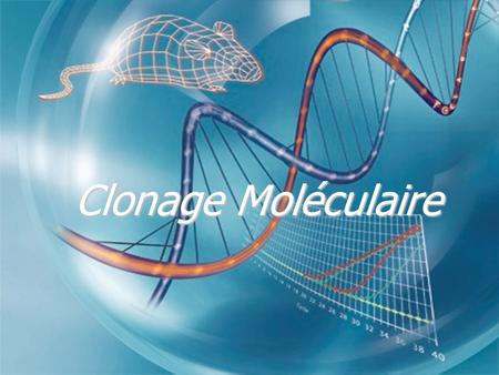 Clonage Moléculaire.