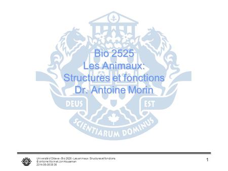 Bio 2525 Les Animaux: Structures et fonctions Dr. Antoine Morin