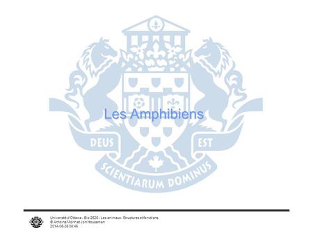 Les Amphibiens Université d’Ottawa - Bio 2525 - Les animaux: Structures et fonctions © Antoine Morin et Jon Houseman 2017-04-01 07:04.